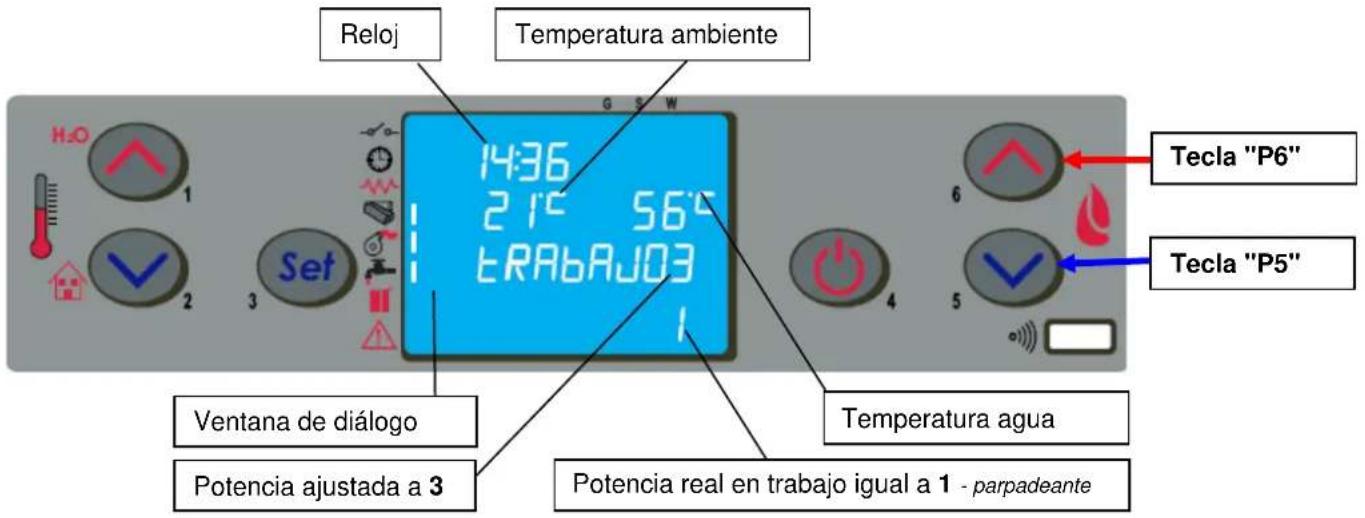 Anselmo Cola Betta - Funcionamiento - 1