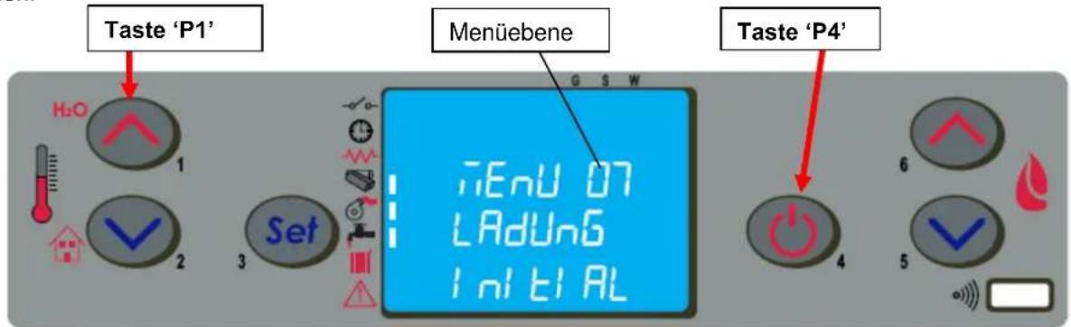 Anselmo Cola Betta - Menü 07 – Erste Pelletfüllung - 1
