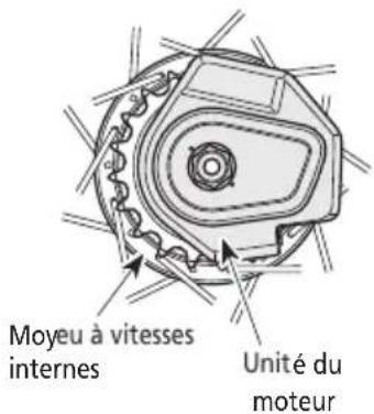 SHIMANO EWEN100 - Nom des pieces - 4