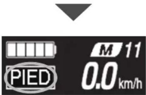SHIMANO EWEN100 - REMARQUE - 3