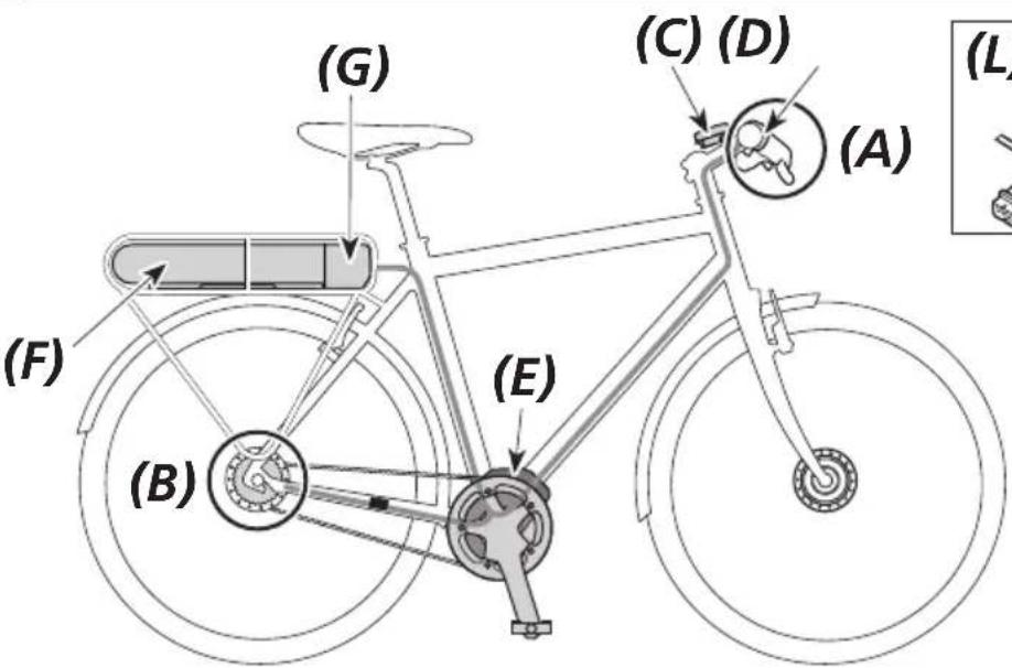 SHIMANO EWEN100 - Nom des pieces - 1