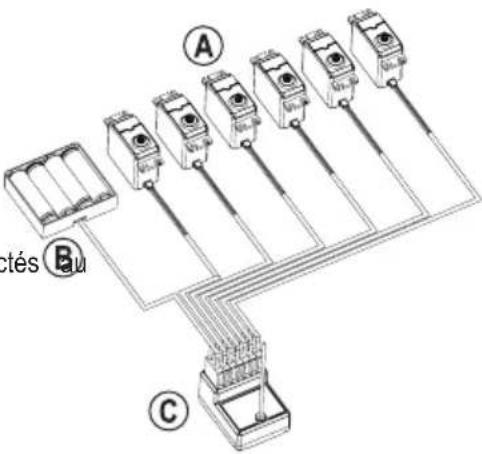 Reely GT6 EVO - a) Connexion - 2