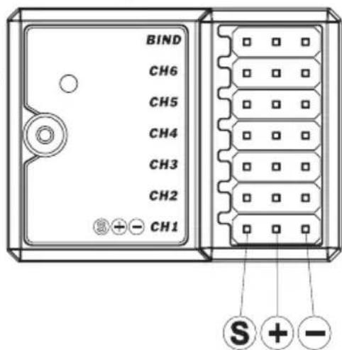 Reely GT6 EVO - a) Connexion - 4