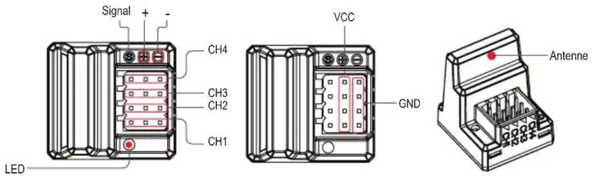 Reely Gen4 - b) Récepteur / antennae - 1
