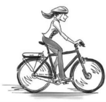 SHIMANO DUE5000 - Code d'assistance - 2