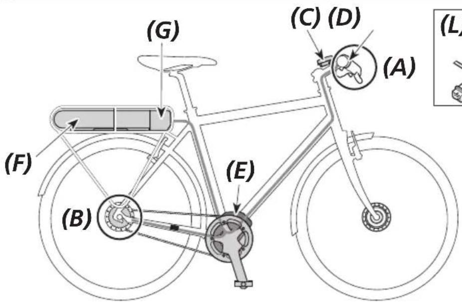 SHIMANO DUE5000 - Nom des pièces - 1