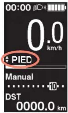 SHIMANO DUE6110 - ■ciliter la marche et la poussée du vélo (assistance à la marche) - 2