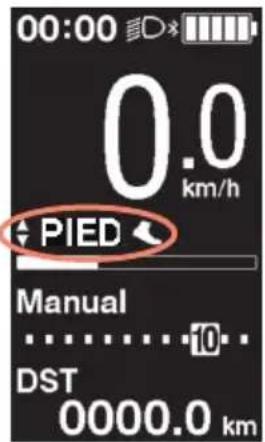 SHIMANO DUE6110 - ■ciliter la marche et la poussée du vélo (assistance à la marche) - 8