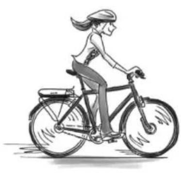 SHIMANO DUE6100 - Mode d'assistance - 2