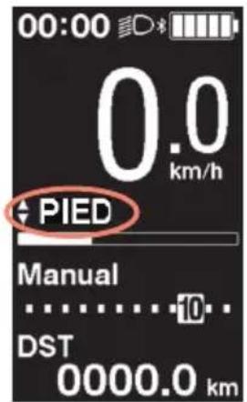 SHIMANO DUE6100CRG - ■ciliter la marche et la poussée du vélo (assistance à la marche) - 6