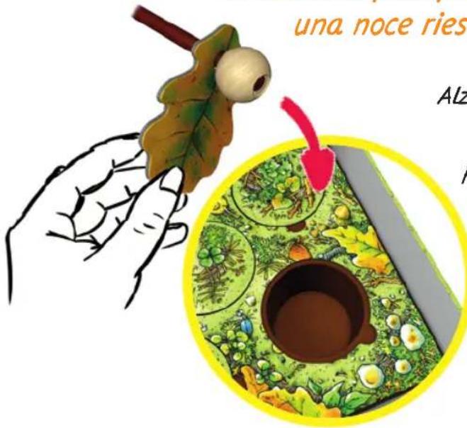 Zoch Purzelbaum - una noce riesci a centrare un buco. - 1