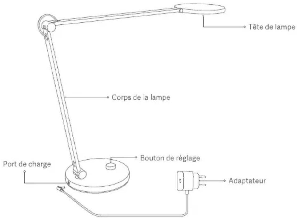 Tête de lampe Corps de la lampe Port de charge Bouton de réglage Adaptateur