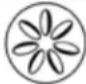 Louisiana Grills 10705 - LIGNES DIRECTRICES POUR LA CUISINE - 1