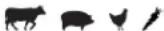 Louisiana Grills 60815 - PECAN BLEND - 1