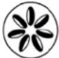 Louisiana Grills 10702 - SUPERFICIES EXTERIORES - 2