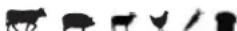 Louisiana Grills 60865 - COMPETITION BLEND - 1