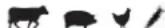 Louisiana Grills 60865 - PECAN BLEND - 1