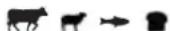 Louisiana Grills 60865 - WHISKEY BARREL BLEND - 1