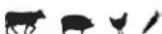 Louisiana Grills 60801 - PECAN BLEND - 1