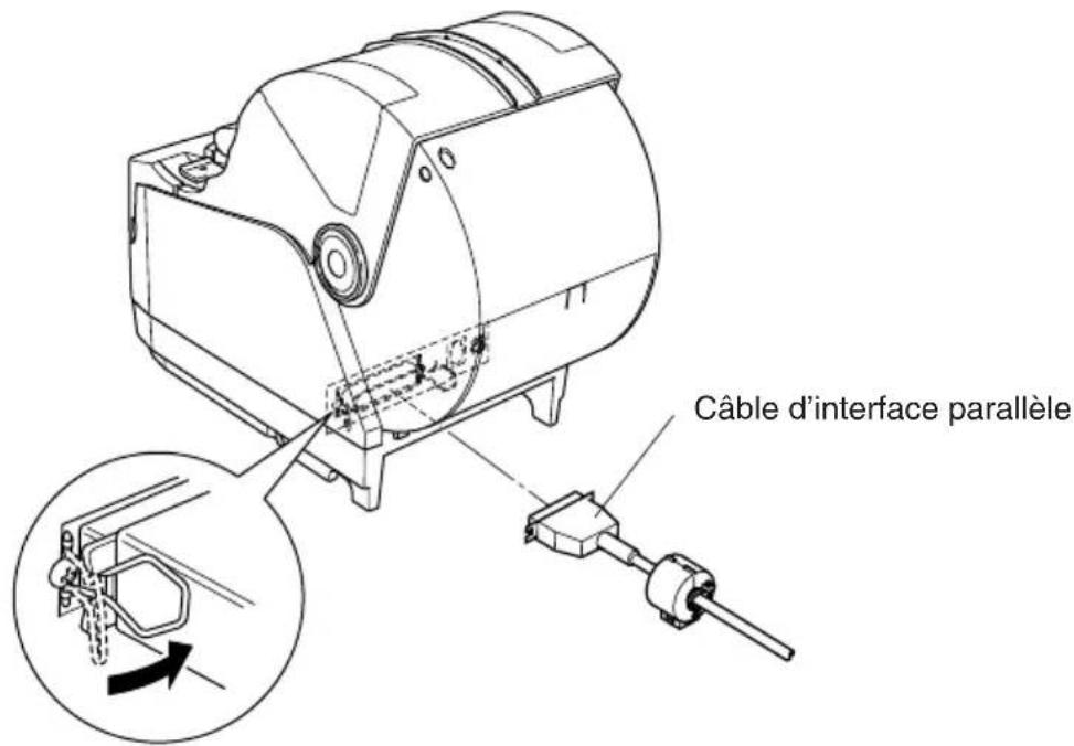 Câble d'interface parallèle