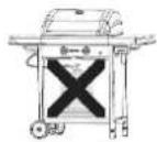 BARBECOOK Victor - Welke gasfles, slang en regelaar? - 2
