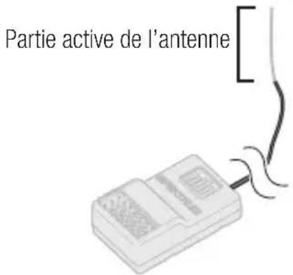 Partie active de l'antenne