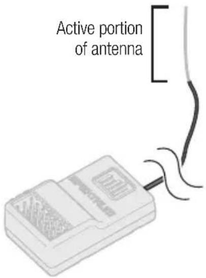 Active portion of antenna