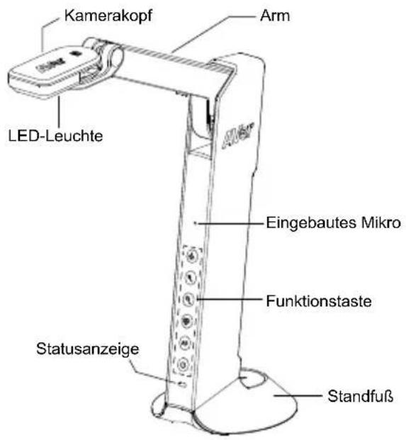 AVERMEDIA M11 - Übersicht - 1