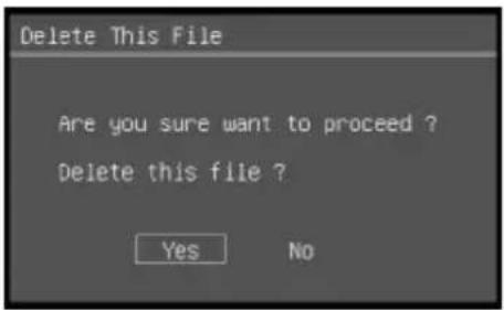 AVERMEDIA M11 - Delete File - 1
