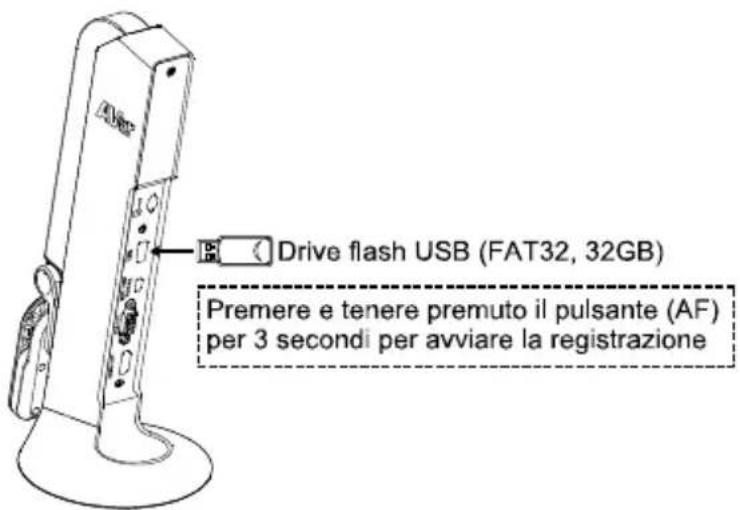 AVERMEDIA M11 - Collegamento USB - 1