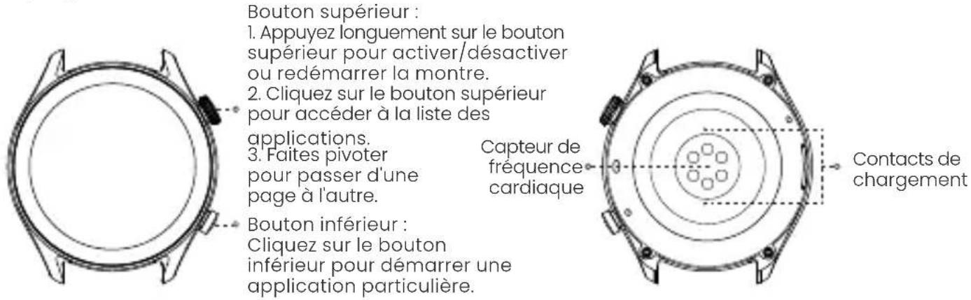 AMAZFIT GTR 4 Limited Edition - À propos de la montre - 1