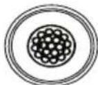 VESTFROST VLS 096A RF SDD - Drenaje - 2