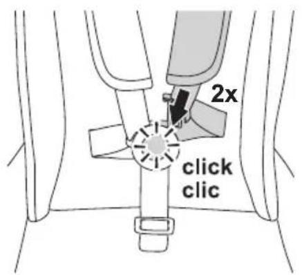 CYBEX Avi - DE - 54