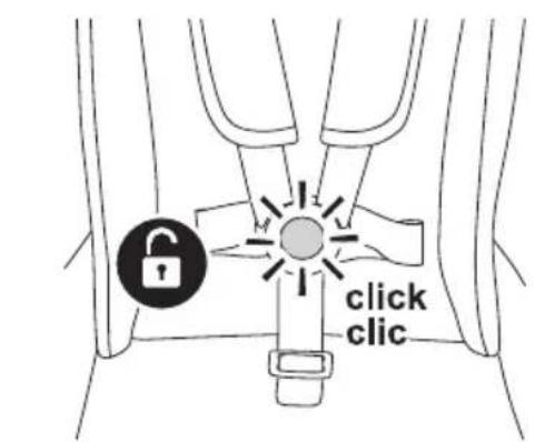 CYBEX Avi - DE - 52