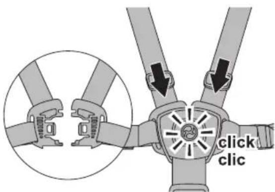 CYBEX Avi - DE - 61