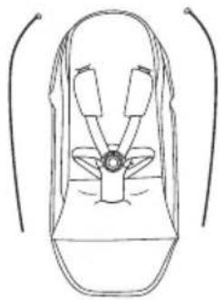 CYBEX Avi - DE - 124