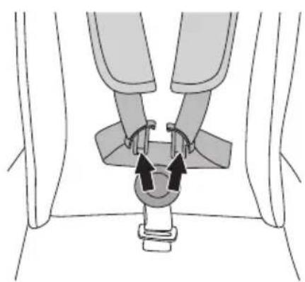 CYBEX Avi - DE - 53