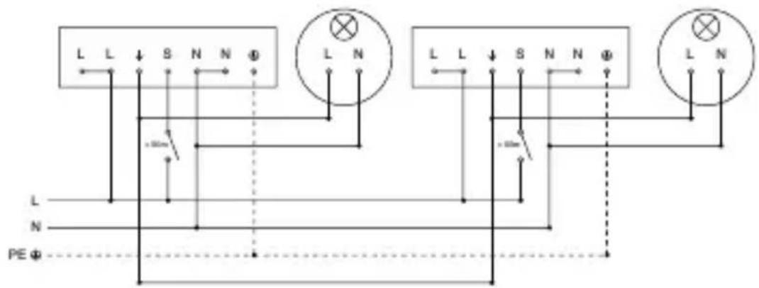 L L ↓ S N N φ L N L L ↓ S N N φ L N L N PE φ