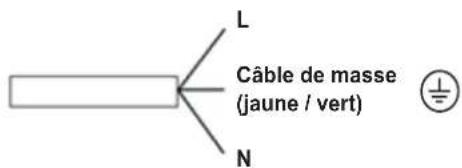 L Câble de masse (jaune / vert) N