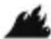 STANLEY STHT077365 - ADVARSEL: RISIKO FOR USIKKER T. - 1