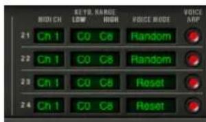 Arturia CS80 V2 - LE MODE MULTI - 2
