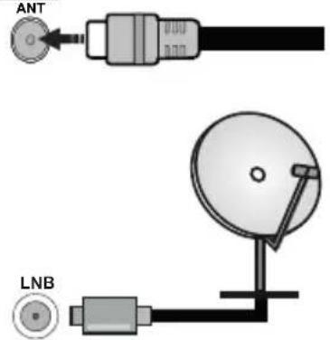 PANASONIC TX24MS480E - Antenniliitäntä - 1