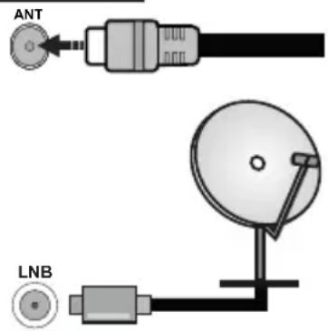 PANASONIC TX24MS480E - Branchement de l'antenne - 1