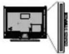 PANASONIC TX24MS480E - Andre forbindelser - 22
