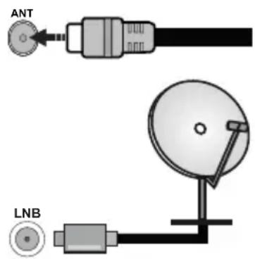 PANASONIC TX24MS480E - Ligação da antena - 1