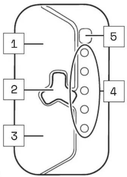TREK Domane+ ALR - GEDETAILLEERD OVERZICHT EN COMPONENTNAMEN: AFSTANDSBEDIENING fX EN AFSTANDSBEDIENING bX - 5