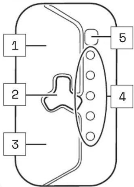 TREK Domane+ ALR - VUE DÉTAILLÉE ET DÉSIGNATIONS DES PIÈCES : COMMANDE fX ET COMMANDE bX - 5