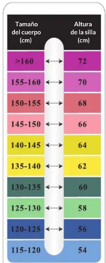 Blumfeldt Children's - Ajustes recomendados para cada tamaño de cuerpo - 2