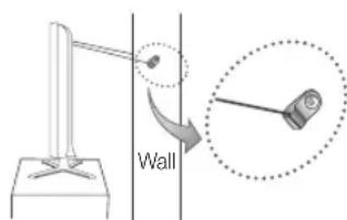 Wall
