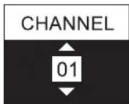 LD Systems LDSU50 - USTAWIANIE KANAŁU CZESTOTLIWOŚCI (CHANNEL) - 2